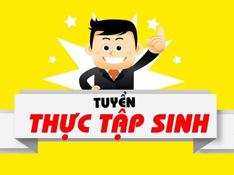 Tìm việc làm thực tập sinh marketing